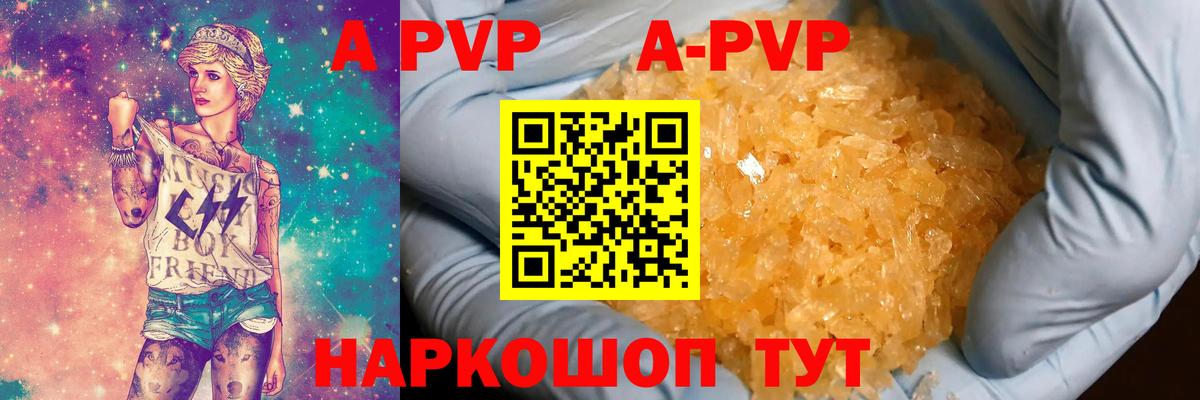 Alfa_PVP СК КРИС Махачкала