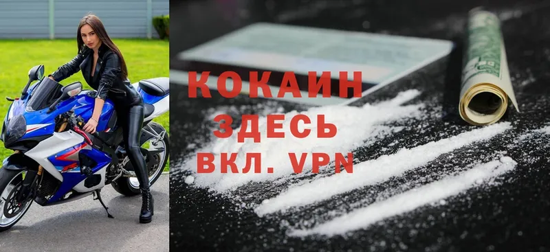 Cocaine VHQ  где найти наркотики  blacksprut сайт  Махачкала 