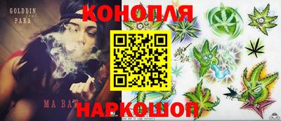хмурый Гатчина