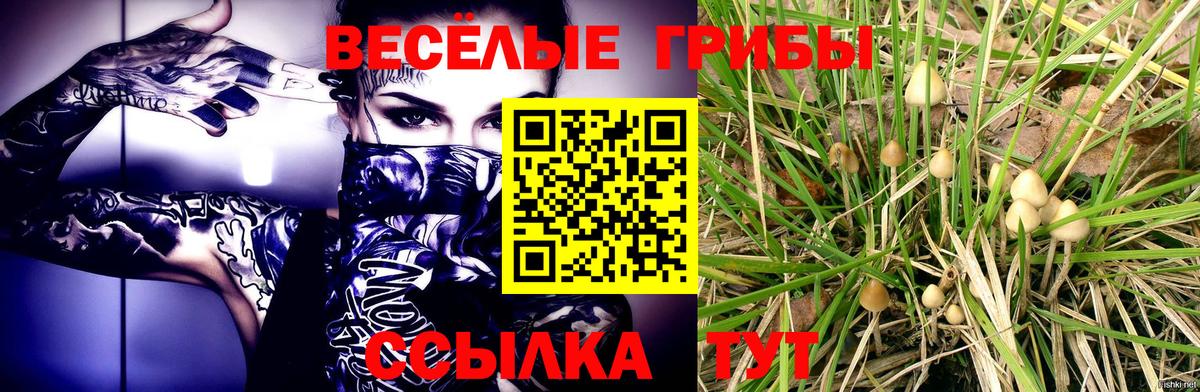 Галлюциногенные грибы мицелий Махачкала