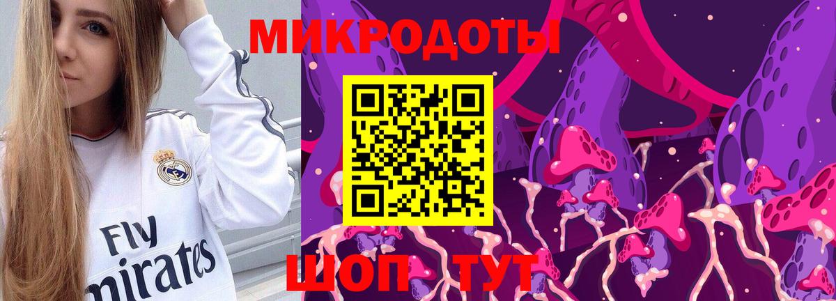 Псилоцибиновые грибы мухоморы  купить закладку  Вход с VPN  Махачкала  Псилоцибиновые грибы мицелий 